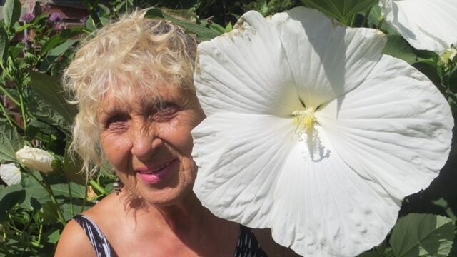 Photo of Mary Susan (Hrchak) SHEEHAN