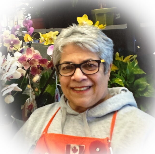 Photo of Lorraine Jacqueline (née Cusack) ORR