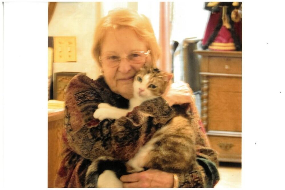 Photo of Donna M. (Phelan) Hart